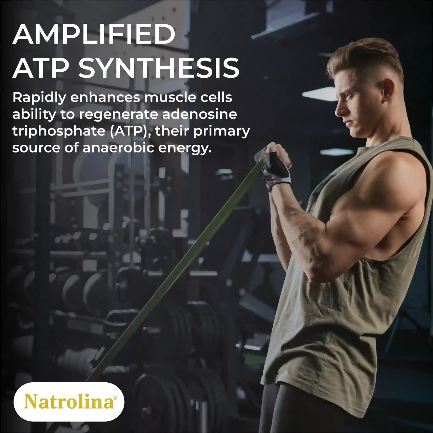Natrolina Micronized Creatine Monohydrate Powder