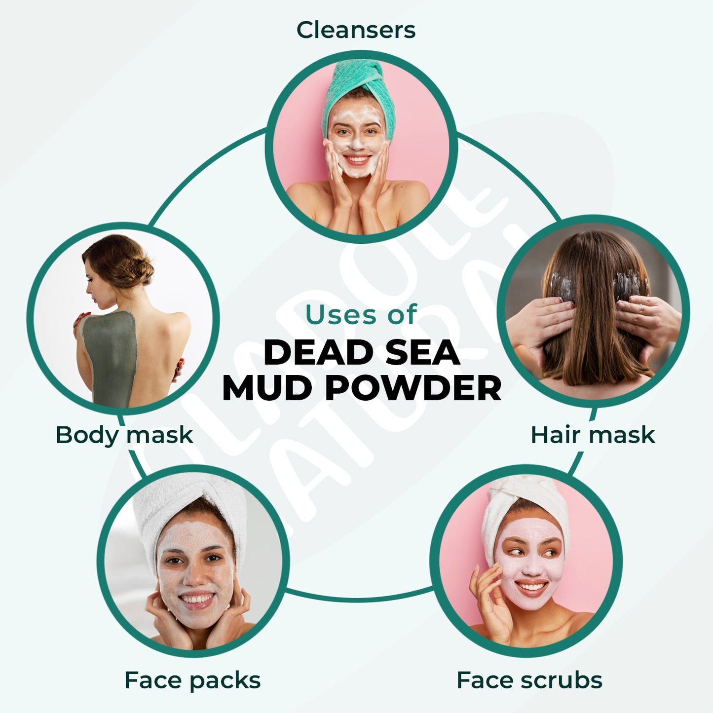 Dead Sea Mud Powder 100g