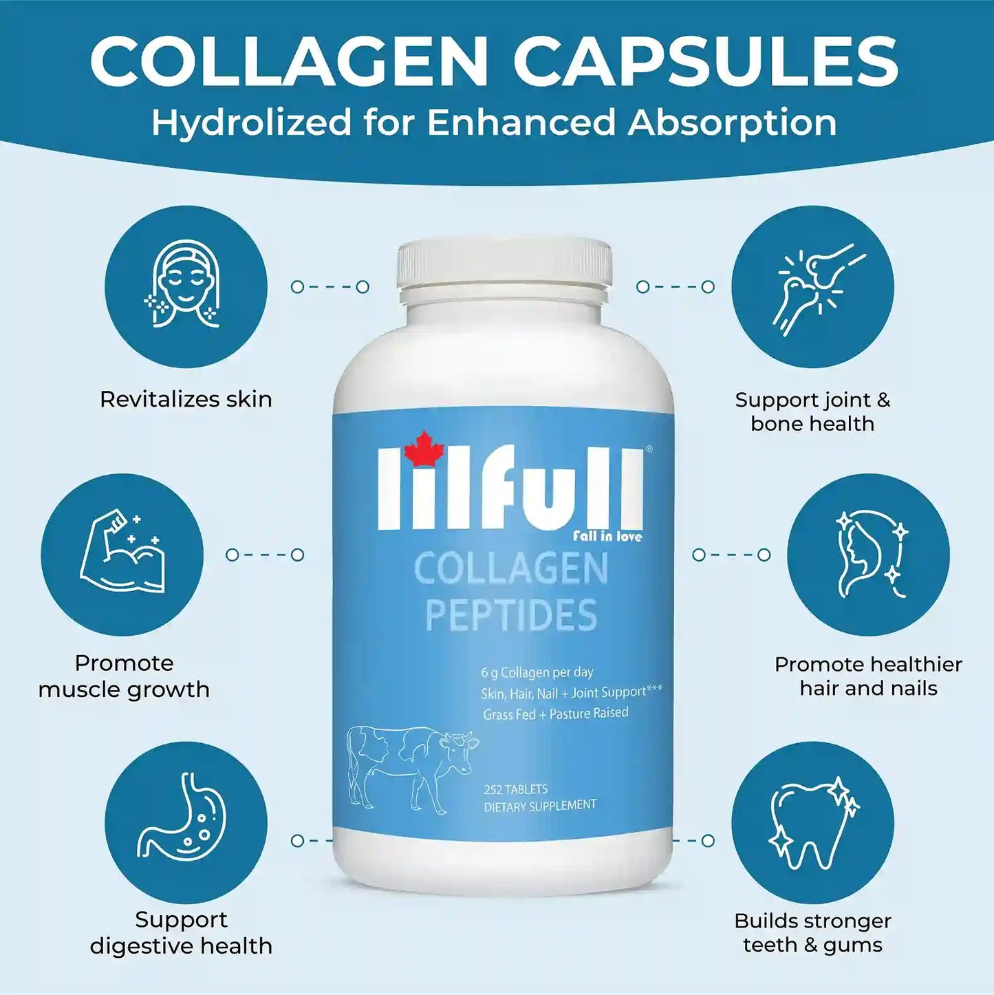 Lilfull Hydrolyzed Bovine Collagen Peptides 6g, 252 Tablets