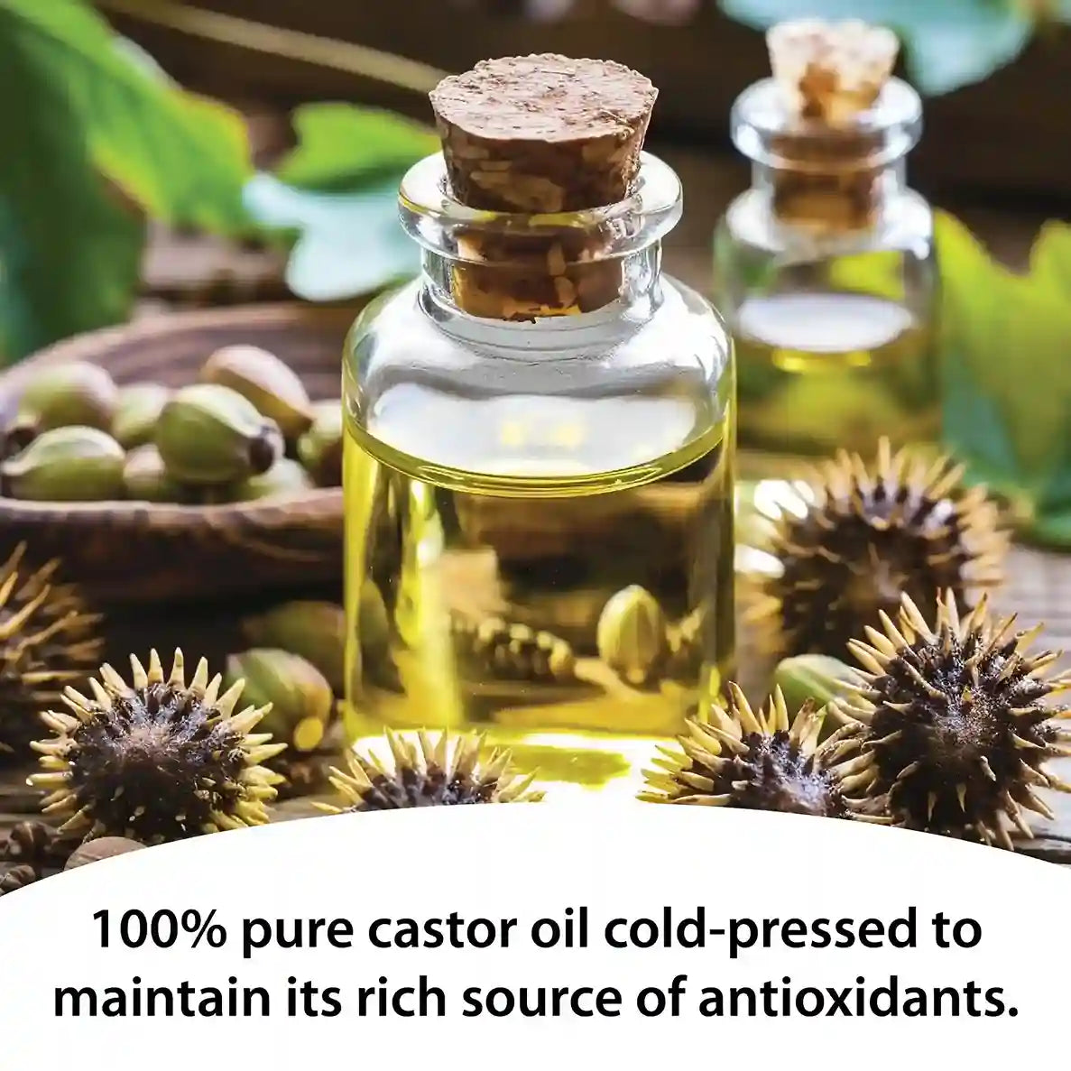 Aitnaturals Organic Castor Oil 60ml