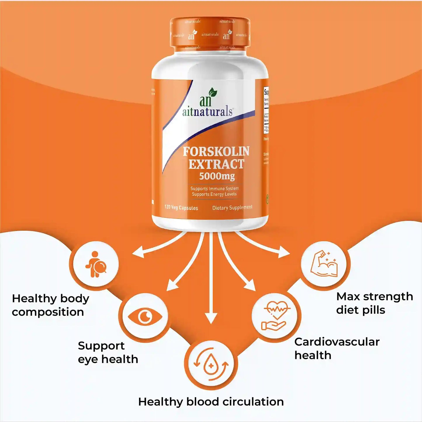 Forskolin Extract - 5000 mg (120 Capsules)