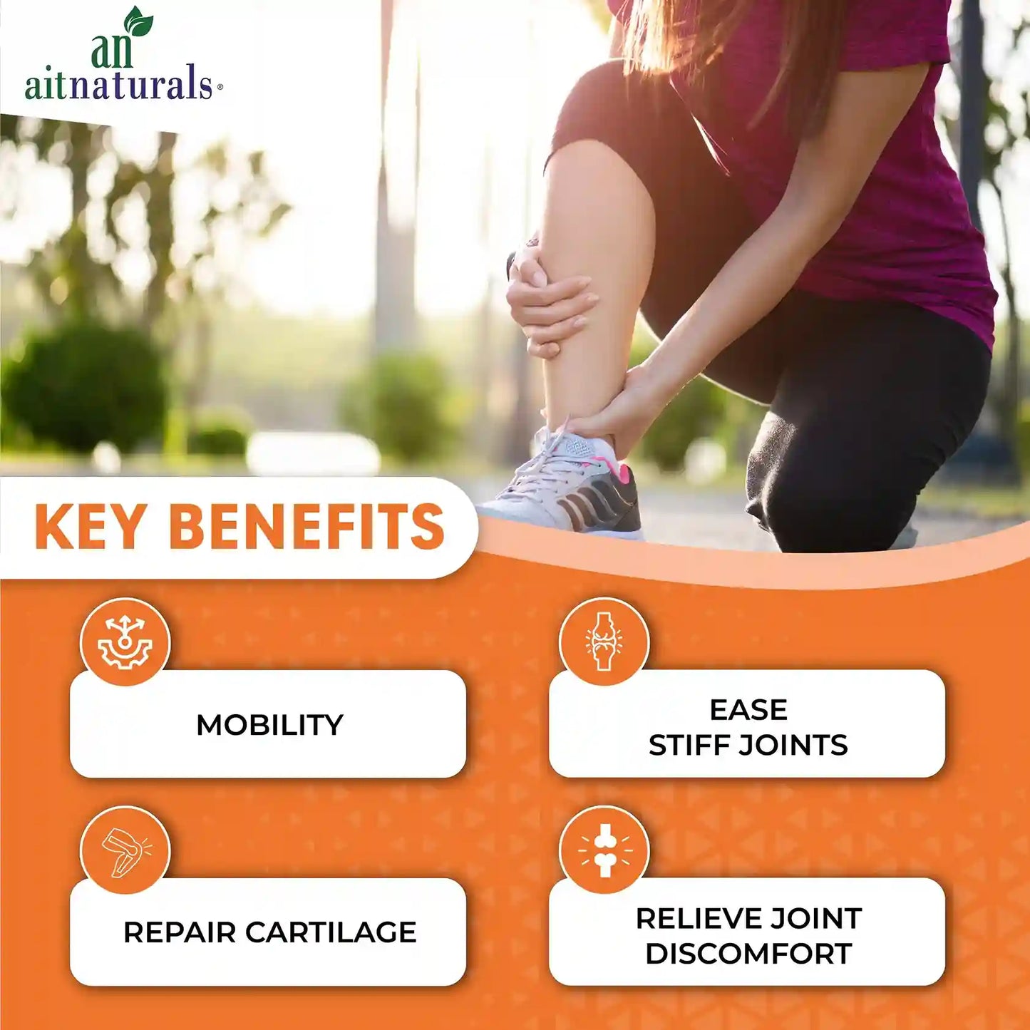 Aitnaturals Joint Health - 120 Tablets