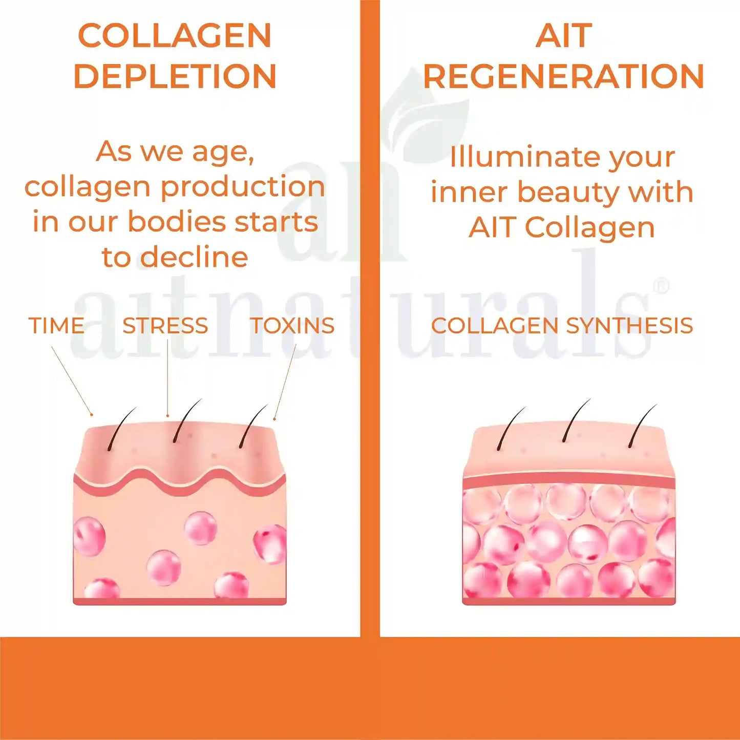 Marine Collagen - 2500 mg (120 Tablets)