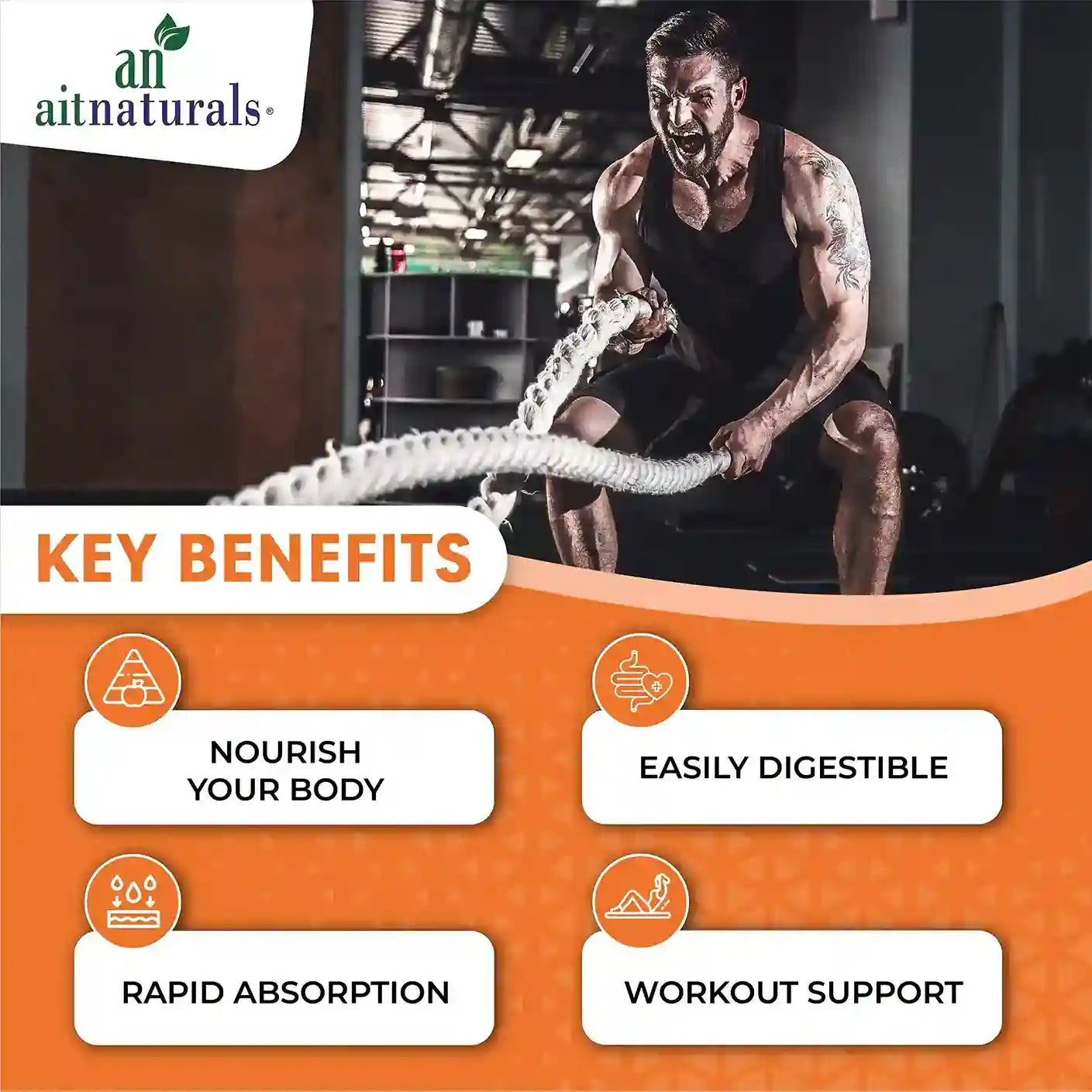 Aitnaturals Organic Protein - Mango Flavour