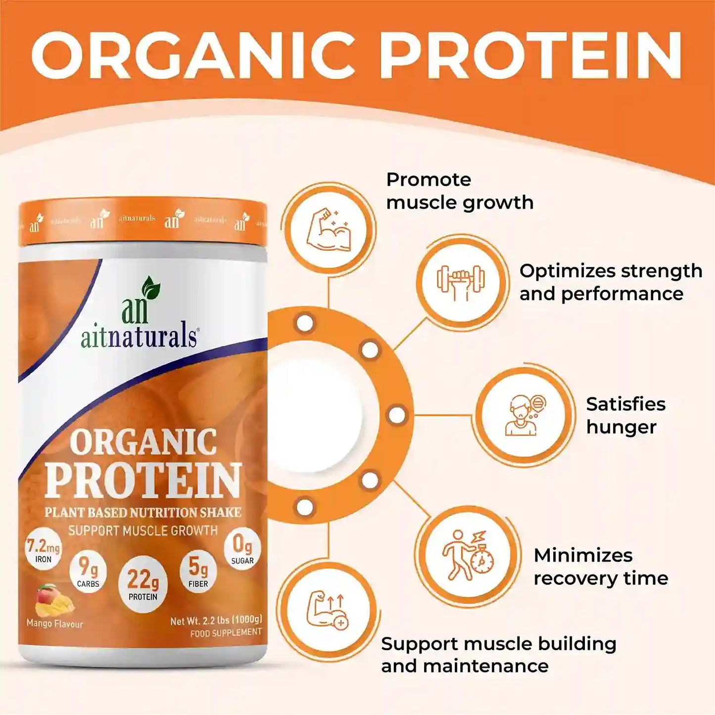 Aitnaturals Organic Protein - Mango Flavour