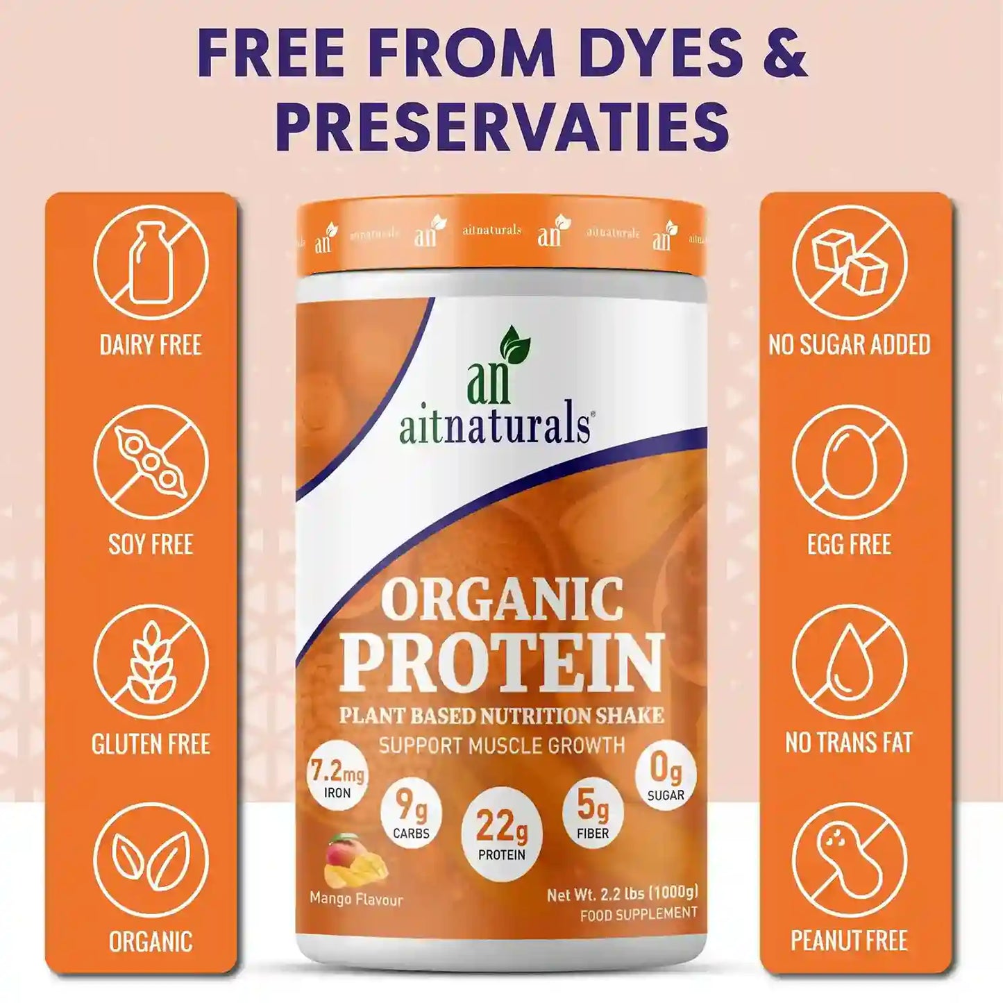 Aitnaturals Organic Protein - Mango Flavour