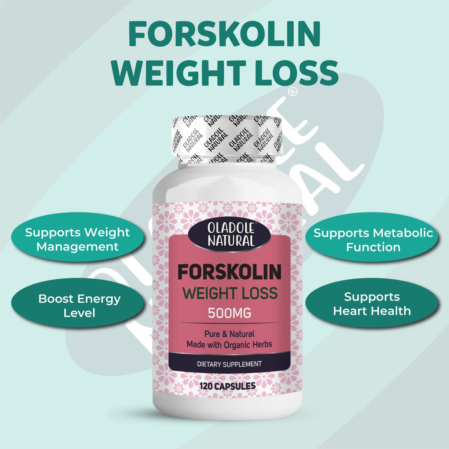 Oladole Natural Forskolin Extract for Weight Loss 500mg 120 Capsules