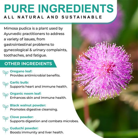 Oladole Natural Mimosa Pudica Seed Capsules - 60 Count