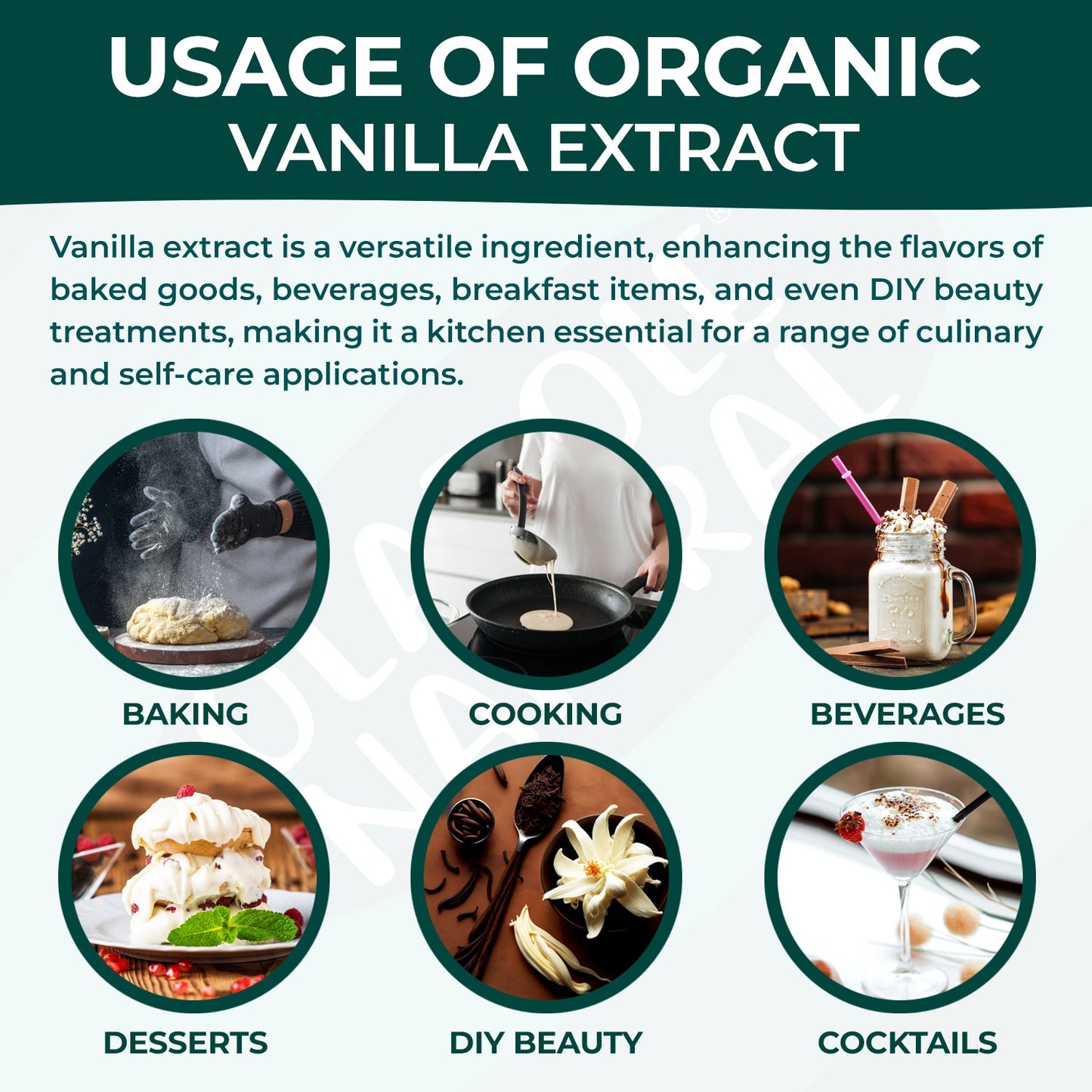 Oladole Natural Vanilla Extract Powder 50g