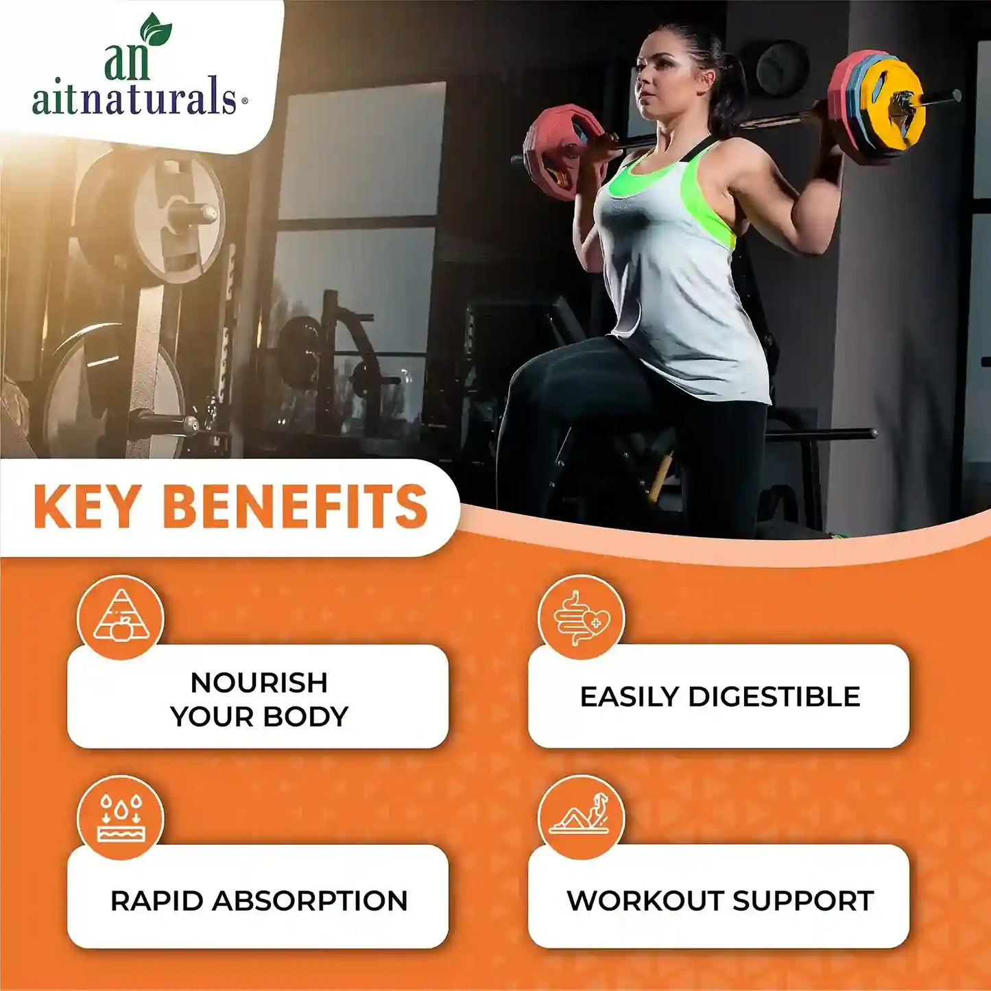Aitnaturals Organic Protein Powder - choclate