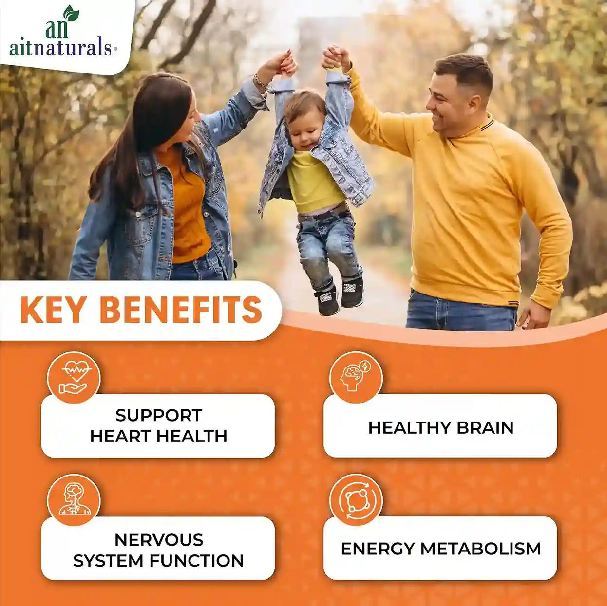 Aitnaturals Vitamin B12 (1000mcg)-100 Softgels