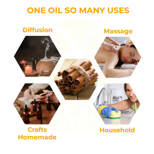 Jadole Naturals Cinnamon Bark Essential Oil  100% Pure & Natural 30ml