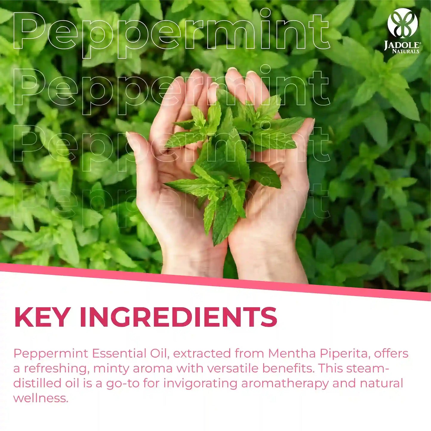 Jadole Naturals Peppermint Essential Oils 30ml