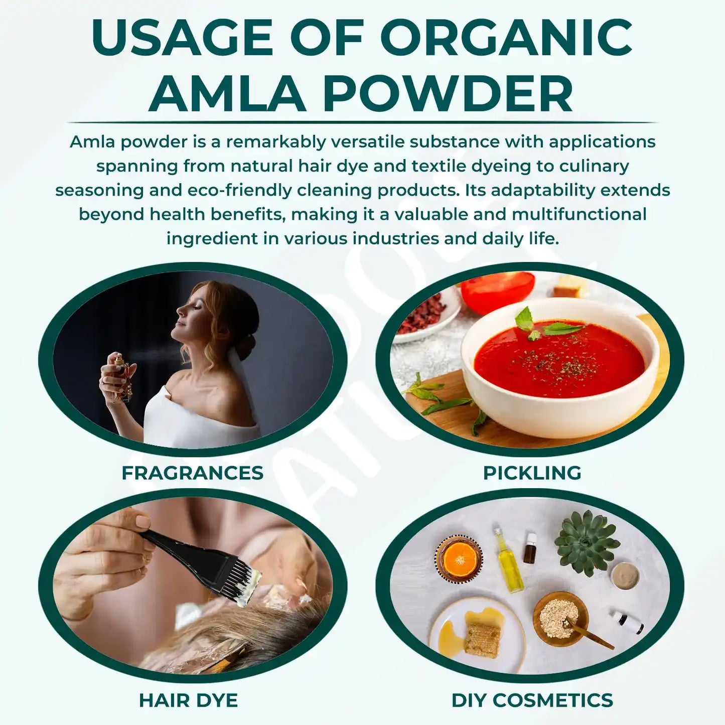 Oladole Natural Organic Amla Powder 100g