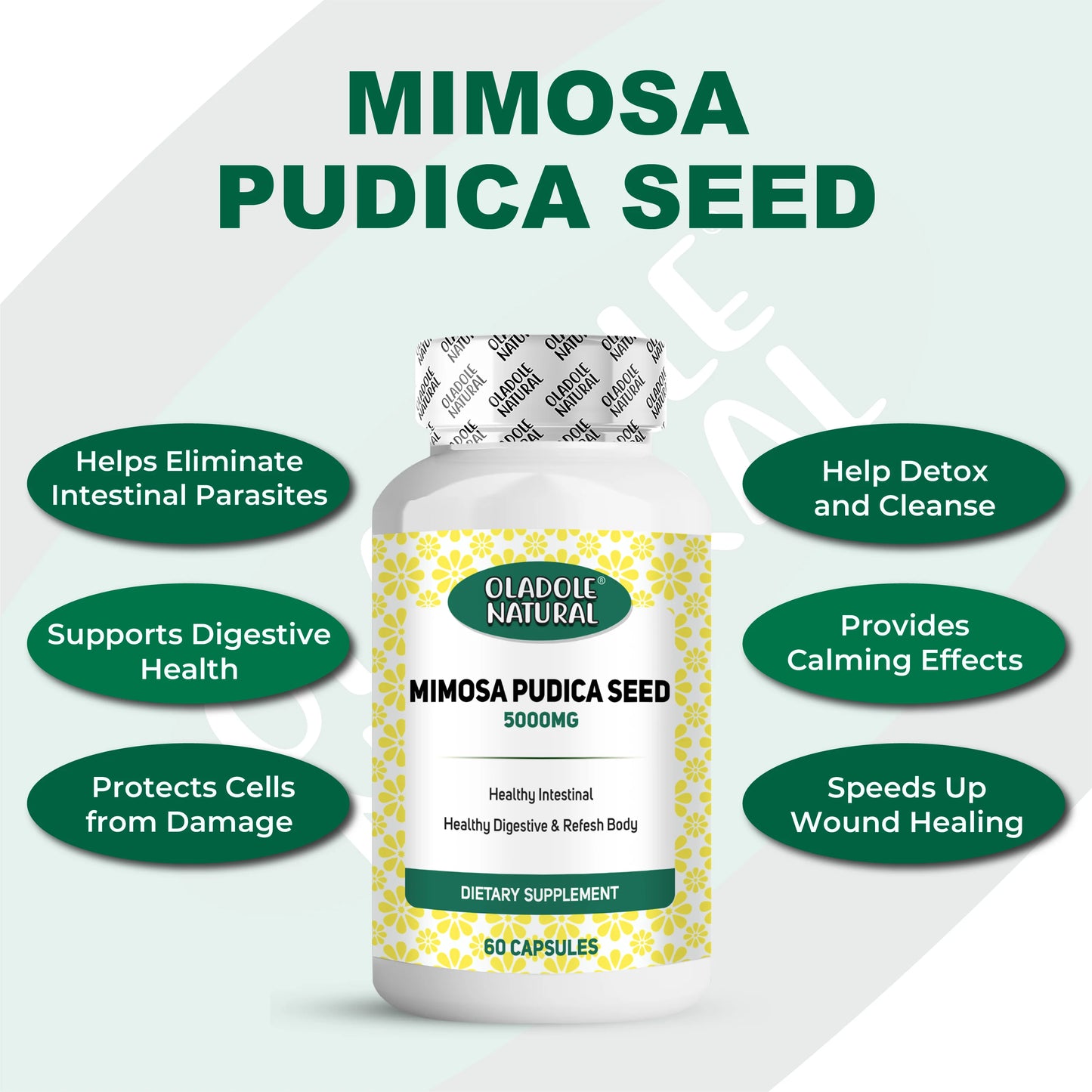 Oladole Natural Mimosa Pudica Seed Capsules - 60 Count