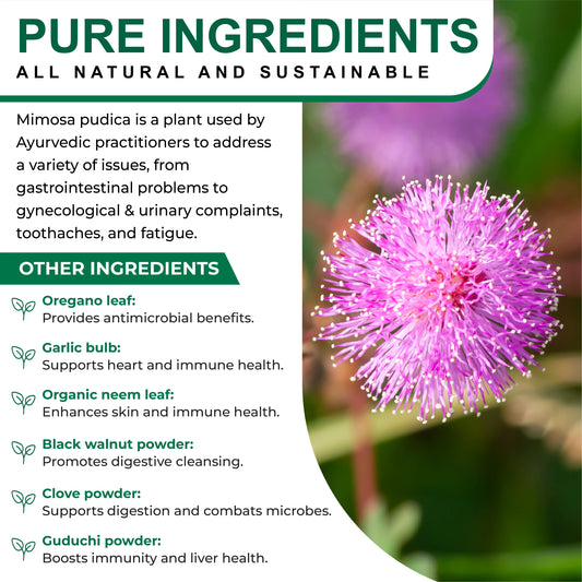 Oladole Natural Mimosa Pudica Seed Capsules - 60 Count