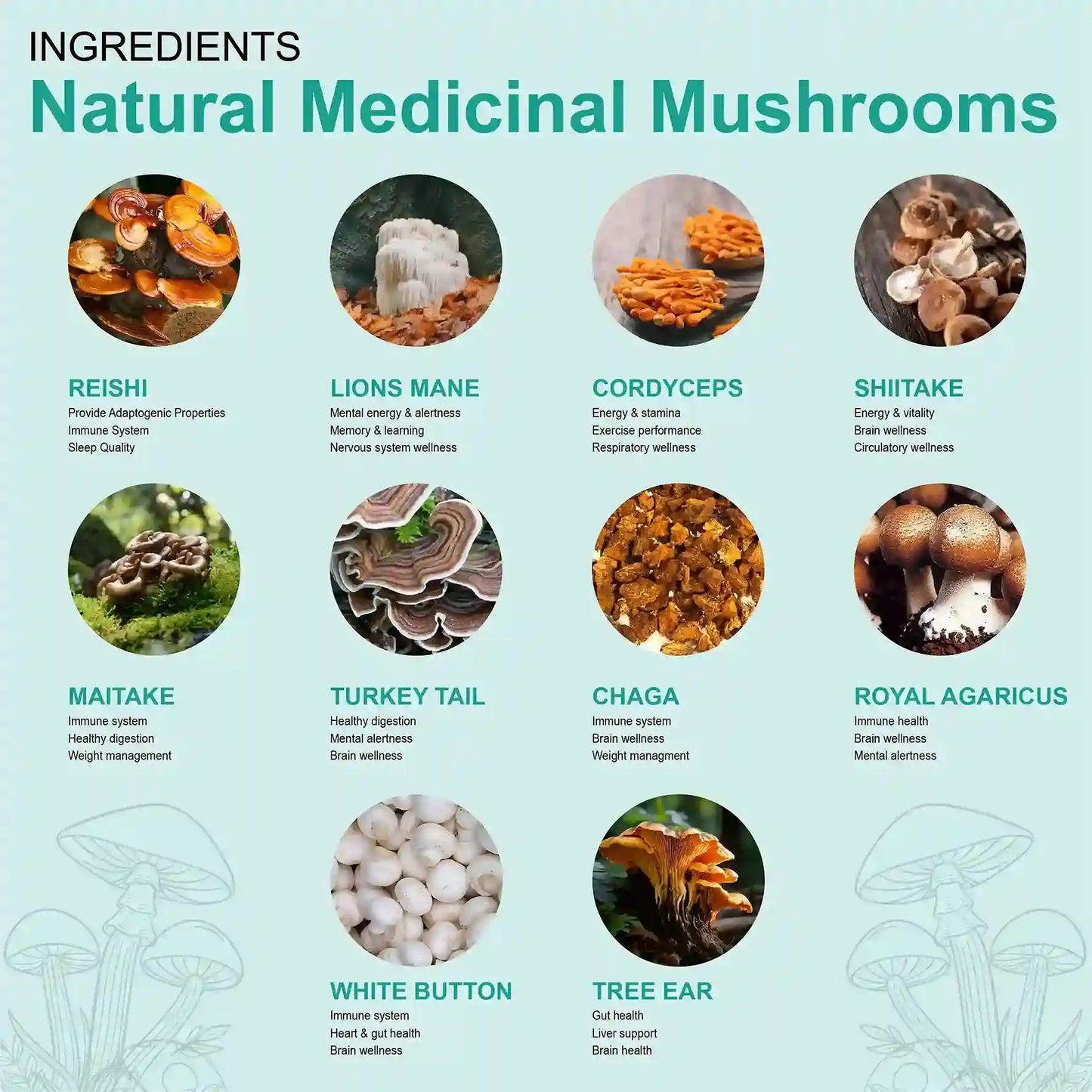 Oladole Natural Mushroom Complex - 90 Capsules