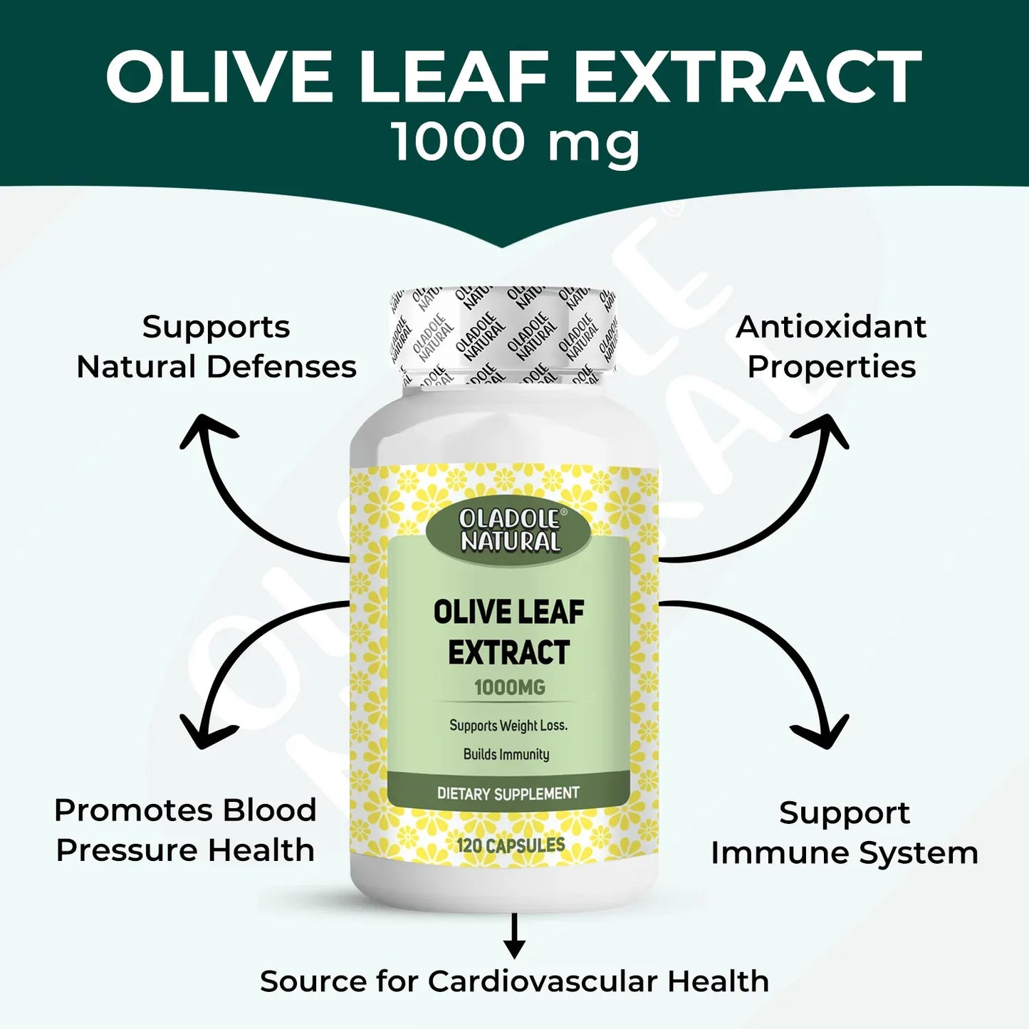 Oladole Natural Olive Leaf Extract 1000mg 120 Capsule